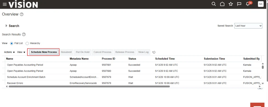 Click Schedule New Process.